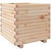 Natural_pine