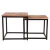 LABEL51 Ensemble de 2 tables basses Frisk bois/noir