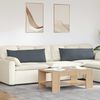 vidaXL Coussins de canap&eacute; 2 pcs Gris fonc&eacute; 120 x 40 cm