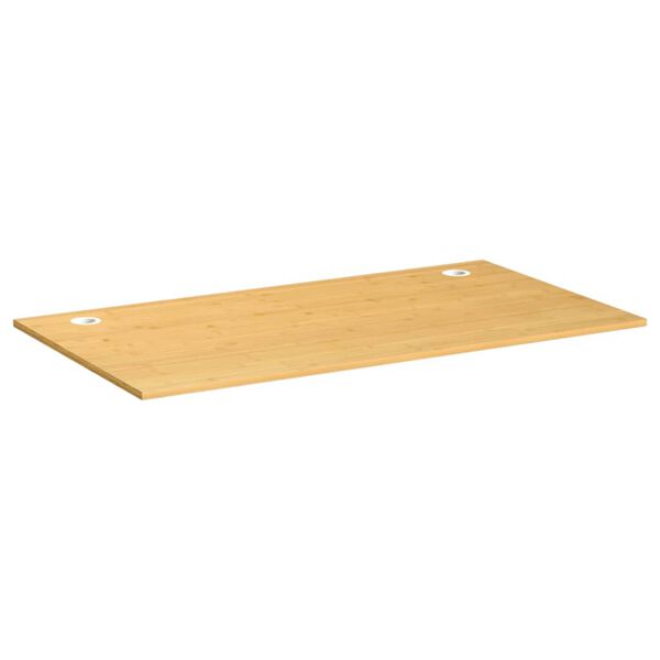 vidaXL Dessus de bureau 100x60x1,5 cm bambou