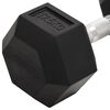 vidaXL Halt&egrave;re 17,5 kg Fonte