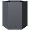 vidaXL Jardini&egrave;re anthracite hexagone 46x40x45 cm acier