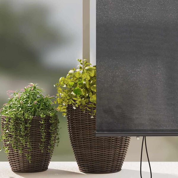 vidaXL Store Roulant Ext&eacute;rieur Ray&eacute; Anthracite 200 x 250 cm tissu