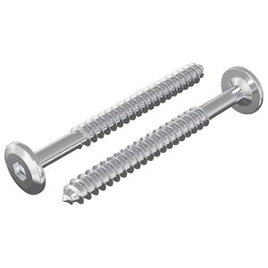 vidaXL Vis en bois 2 pi&egrave;ces Argent&eacute; M6 x 70 mm Acier