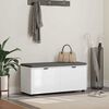 vidaXL Banc d'entr&eacute;e avec coussin avec stockage Blanc 100 x 38 x 46 cm