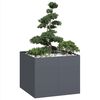 vidaXL Jardini&egrave;re anthracite 100x100x80 cm acier