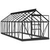 vidaXL Serre en verre Anthracite 155x395,5x191 cm Aluminium