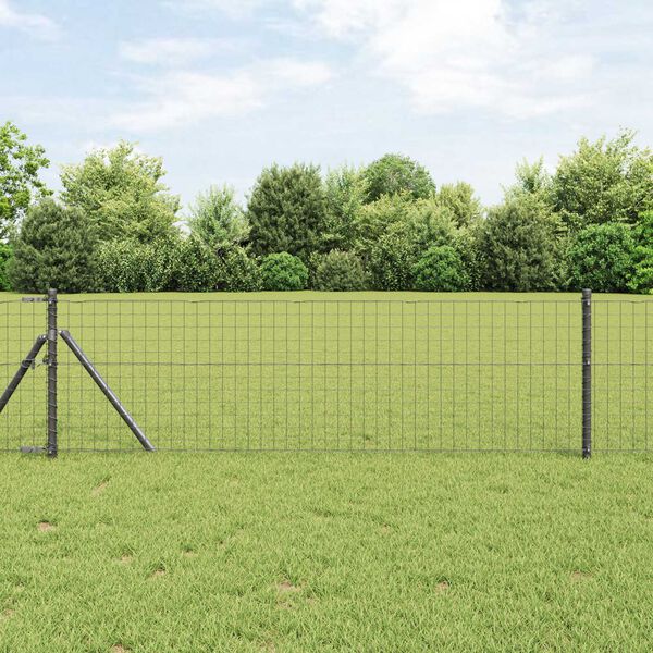 vidaXL Cl&ocirc;ture Euro Gris 0,8 x 25 m Fer rev&ecirc;tu de PVC