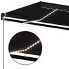 vidaXL Auvent manuel r&eacute;tractable avec LED 600x350 cm Anthracite