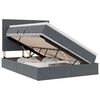vidaXL Lit de rangement LED avec matelas Gris fonc&eacute; 140 x 200 cm