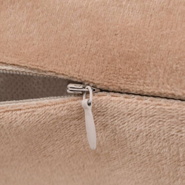 vidaXL Coussins lot de 2 Tissu 45x45 cm Beige