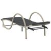 vidaXL Chaises longues lot de 2 et coussins gris clair r&eacute;sine tress&eacute;e