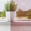 vidaXL Rideaux en voile avec &oelig;illets 2 pcs rouge bordeaux