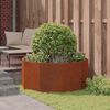 vidaXL Jardini&egrave;re Rouill&eacute; 120 x 120 x 50 cm