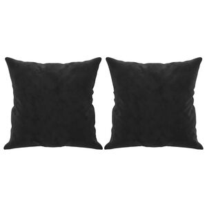vidaXL Coussins d&eacute;coratifs lot de 2 Noir 40x40 cm Velours
