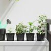vidaXL Pot &agrave; fleurs 100 pcs Noir &Oslash; 15 x 12,5 cm Plastique