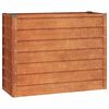 vidaXL Lit sur&eacute;lev&eacute; de jardin rouill&eacute; 100x40x77 cm acier corten