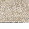 vidaXL Tapis de surface Rectangulaire Naturel et Blanc 60 x 400 cm