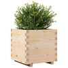 vidaXL Jardini&egrave;re 50x50x49,5 cm bois de pin massif