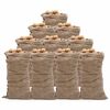 vidaXL Sacs en jute 10 pcs 65x135 cm 100 % jute 220 g/m&sup2;