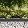 vidaXL Bordure de Pelouse 50 pcs Noir 100 x 0.05 x 20 cm
