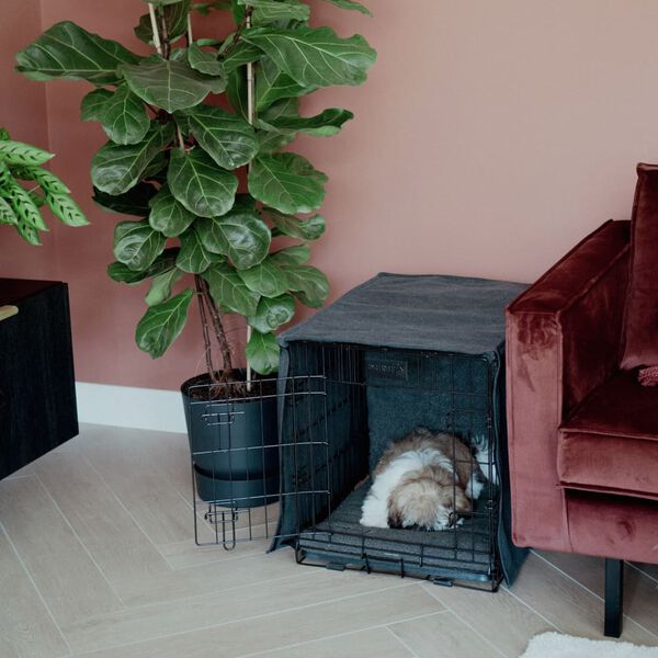 DISTRICT70 Couverture de cage pour chien Gris fonc&eacute; L
