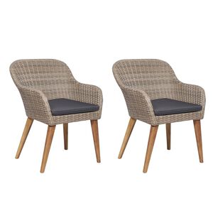 vidaXL Chaises d'ext&eacute;rieur et coussins lot de 2 R&eacute;sine tress&eacute;e Marron