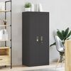 vidaXL Armoire de rangement Noir 60 x 40 x 140 cm Acier
