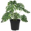 vidaXL Pot &agrave; fleurs rond 24 pcs Noir &Oslash; 19 x 16 cm Plastique