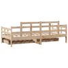 vidaXL Lit de jour avec tiroirs sans matelas 80x200 cm bois massif