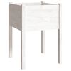 vidaXL Jardini&egrave;re Blanc 50x50x70 cm Bois de pin massif