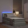 vidaXL Lit avec rangement et LED Gris clair 90 x 190 cm Velours