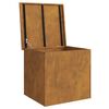 vidaXL Bo&icirc;te de Rangement Ext&eacute;rieure Rouill&eacute; 55 x 50,5 x 50 cm Acier