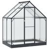 vidaXL Serre de jardin 183,5 x 123 x 207 cm