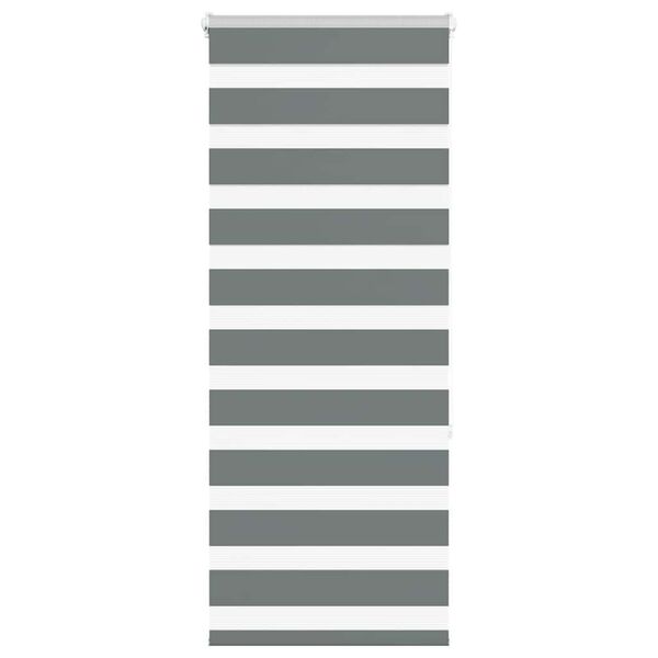 vidaXL Store z&egrave;bre gris fonc&eacute; largeur du tissu 55,9 cm polyester