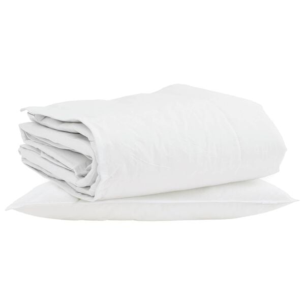 vidaXL Duvet d'hiver avec oreiller 2 pcs Blanc Plume de canard