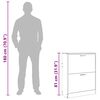 vidaXL Meuble &agrave; chaussures en bois avec 2 compartiments Aspect ch&ecirc;ne