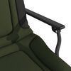vidaXL Chaise de p&ecirc;che avec accoudoir pliable vert