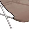 vidaXL Chaises plage pliantes lot de 2 textilène acier enduit poudre