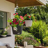 LECHUZA Jardini&egrave;re suspendue NIDO Cottage 28 ALL-IN-ONE Granite
