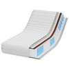 vidaXL Matelas Blanc 60 x 120 cm Ressort ensach&eacute;
