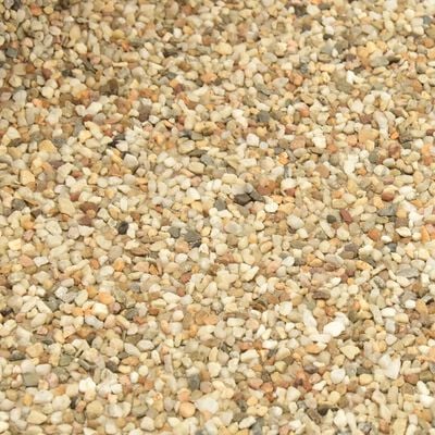 vidaXL Revêtement de pierre sable naturel 100x60 cm