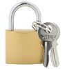 vidaXL U Lock avec Cl&eacute;s 6 pcs Laiton Fer
