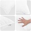 vidaXL Duvet d'hiver avec oreiller 3 pcs Blanc Plume de canard