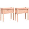 vidaXL Jardini&egrave;res 2 pcs avec pieds bois massif douglas