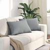 vidaXL Coussins de canap&eacute; 2 pcs Gris clair 60 x 40 cm tissu