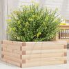 vidaXL Jardini&egrave;re 50x50x23 cm bois de pin massif