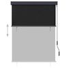 vidaXL Store roulant d'ext&eacute;rieur 120 x 250 cm Anthracite