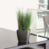 LECHUZA Jardini&egrave;re QUADRO LS 28 ALL-IN-ONE charbon 16143