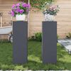 vidaXL Support de Plante 2 pcs Anthracite 24 x 24 x 75 cm Acier